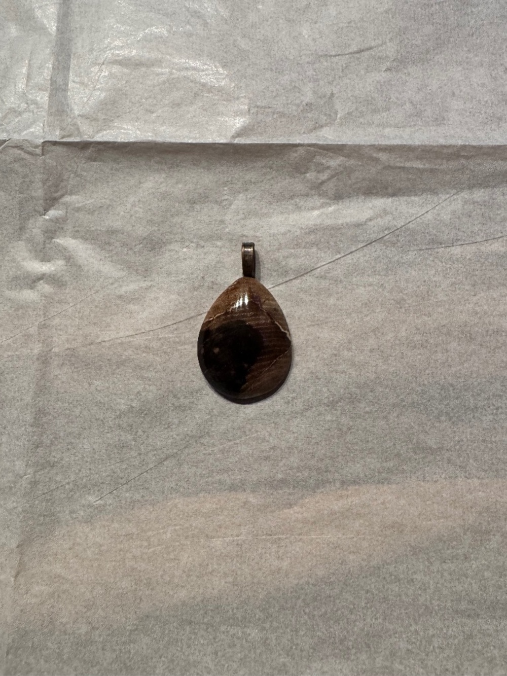 Petrified Wood Necklace